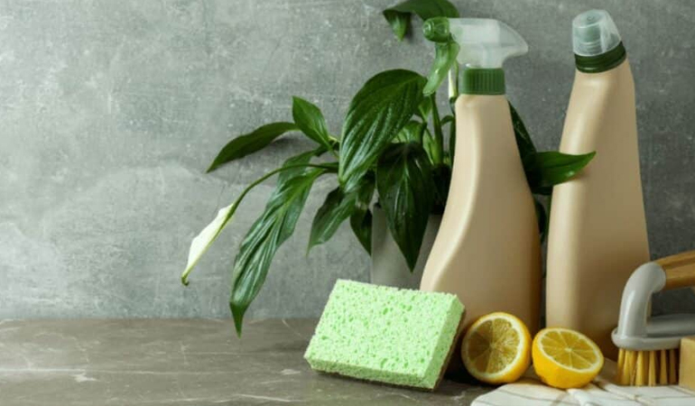 Eco-Friendly Cleaning Services in Ridgewood, NY - Safe & Green Home Cleaning